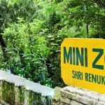 Renuka Mini Zoo Travel Guide and Tourism in Siramur, Hiamchal Pradesh
