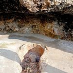 Vyas Cave Tourism in Bilaspur, Himachal Pradesh