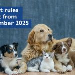 New Pet Rental Rules Begin Today in New Zealand