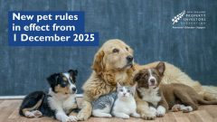 New Pet Rental Rules Begin Today in New Zealand