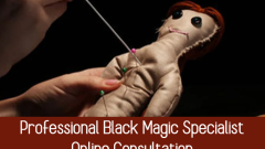 Professional Black Magic Specialist Online Consultation