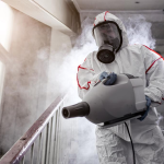 Kiwi Safeas | p decontamination nationwide