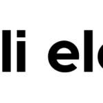 Bizli Electrical